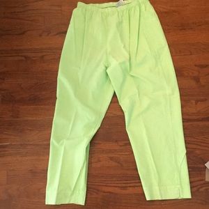 Fresh Produce XL Elastic Waist Pants